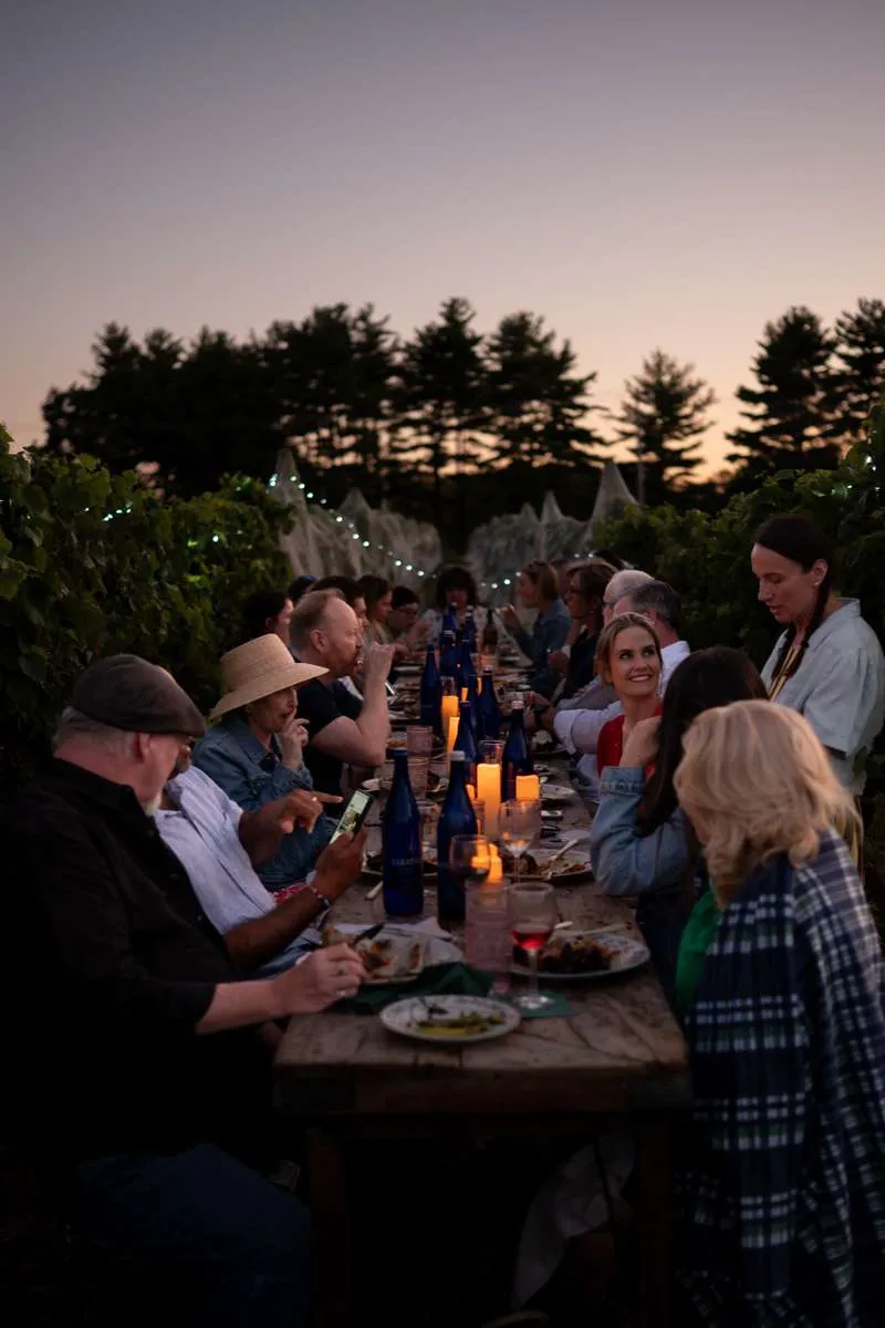 Long communal table at golden hour among vineyard rows
