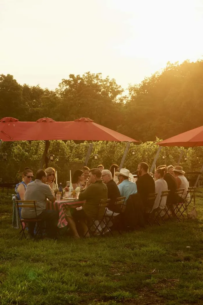 Guests seated at a long table in the vineyard at golden hour